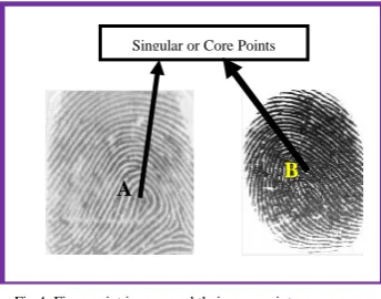 Fig 6: Interconnecting lines between feature and core points 