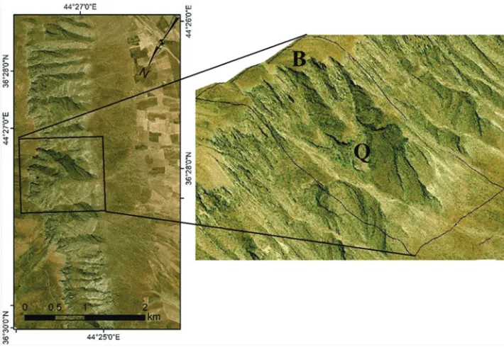 Fig. 11. (a) QuickBird imagery of Bradost anticline, (b) note the blocked inlet of a water gap, which forms a large and longitudinal wine-glass form, and (c) enlarged part of the blocked valley.