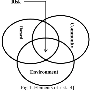 Fig 1: Elements of risk [4]. 