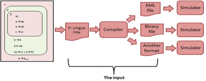 Fig. 1. Workflow of the PLinguaCore Java simulator (Garcıa-Quismondo, et al., 2009).