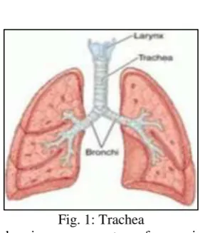 Fig. 3: 