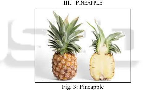 Fig. 3: Pineapple 