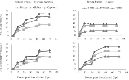 Figure 1. Development of fungal appressoria and vesicles on wheat leaves after inoculation by  Pyrenophora tritici--repentis and on barley leaves after inoculation by Pyrenophora teres 0–72 hpi; the plants were inoculated with a suspension containing conidia, mycelial fragments and sterile water 