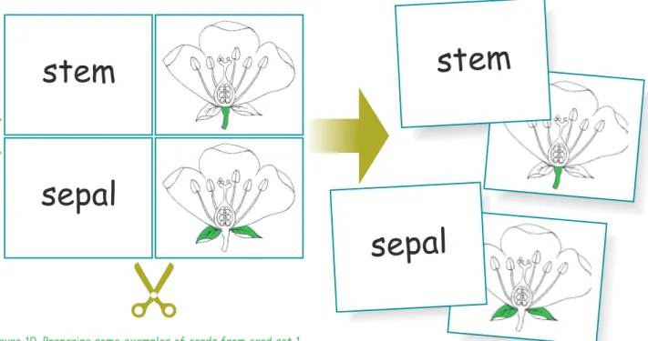 Figure 10. Preparing some examples of cards from card set 1.