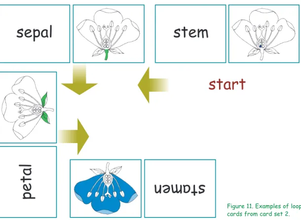 Figure 11. Examples of loop cards from card set 2.