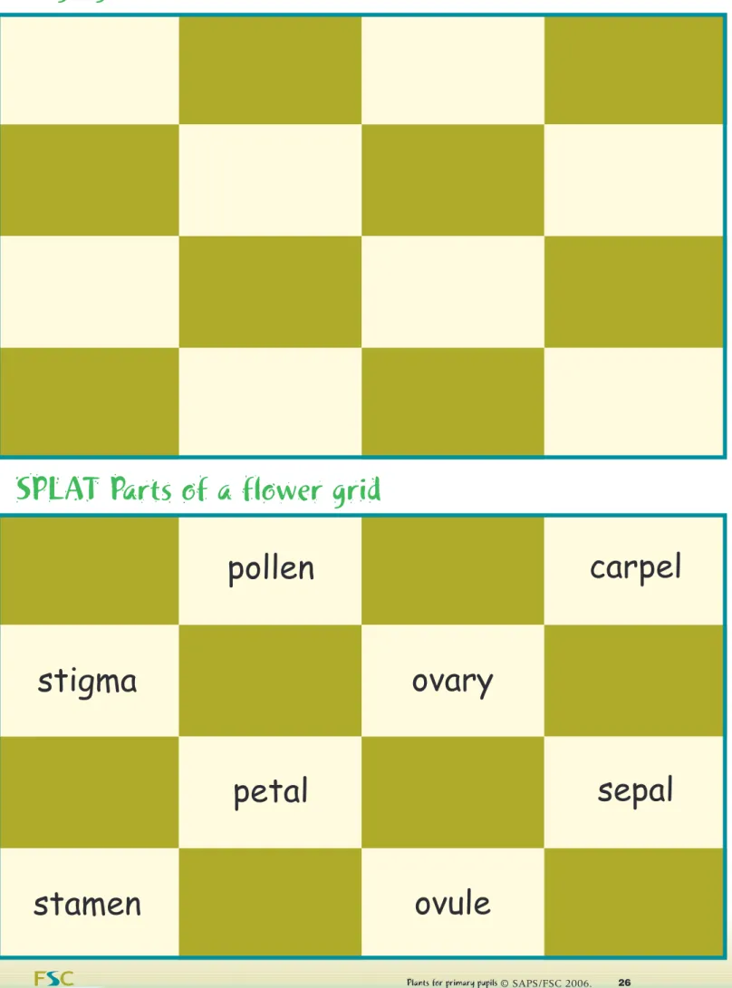 Figure 14. Reduced size version of grids for bingo and splat. Full-sized templates of these grids are available on the CD (Part 1) and on the SAPS website.