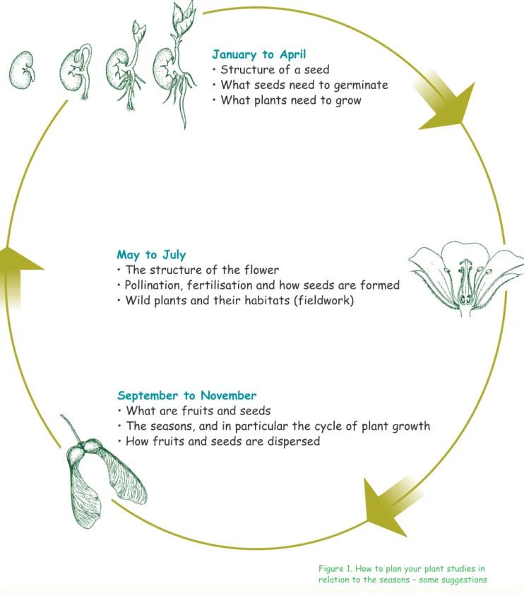 Figure 1. How to plan your plant studies in relation to the seasons – some suggestions