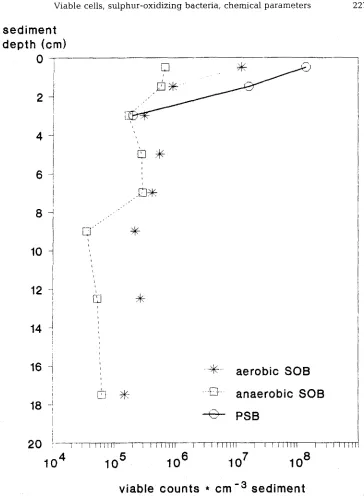 Fig. 1. Viable counts of sulphur-oxidizing bacteria at Hiddensee. SOB = Sulphur-oxidizing bacteria, PSB = Purple sulphur bacteria: Viable counts of anaerobic SOB were determined under anoxic conditions with nitrate as electron acceptor 
