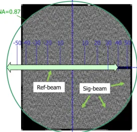 Figure 3: Dynamic aperture angle map at the maximum page size 