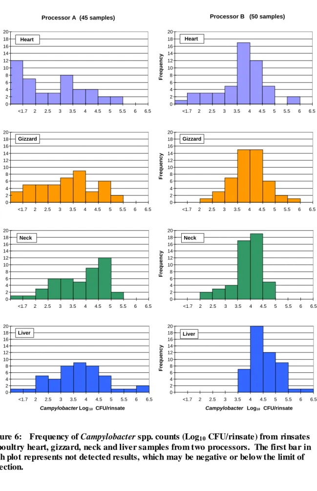Figure 6:  Frequency of Campylobacter spp. counts (Log 10  CFU/rinsate) from rinsates  of poultry heart, gizzard, neck and liver samples from two processors