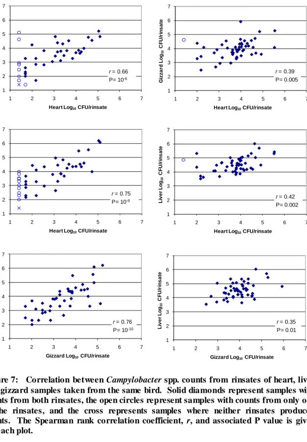 Figure 7:  Correlation  between Campylobacter spp. counts from  rinsates of heart, liver  and gizzard samples taken from the same bird