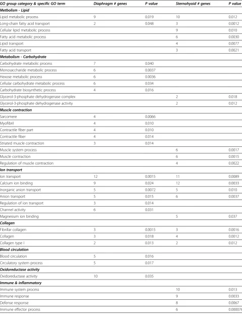 Table 2 Specific Gene Ontology groups which were examined in more detail to which genes with changed expressionin diaphragm and sternohyoid of diabetic animals were assigned