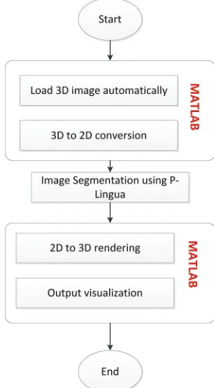 Fig. 2. Flowchart of three-dimensional image segmentation procedure