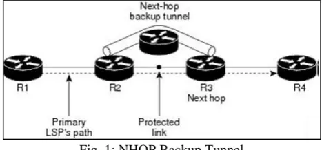 Fig. 1: NHOP Backup Tunnel 