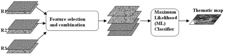 Figure 1.4 Flowchart for the second strategy on combination of various spatial resolutions (Chen and Stow, 
