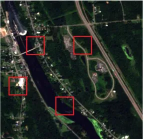 Figure 2.5 An example of a RapidEye scene marked with MODIS pixel size blocks. Mixture of different 