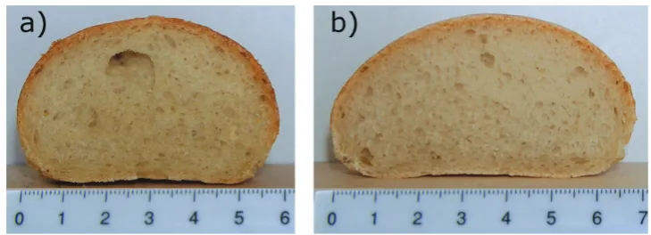 Figure 2. Bread loaves baked using the mini-RMT; (a) variety Samanta, (b) variety Elly