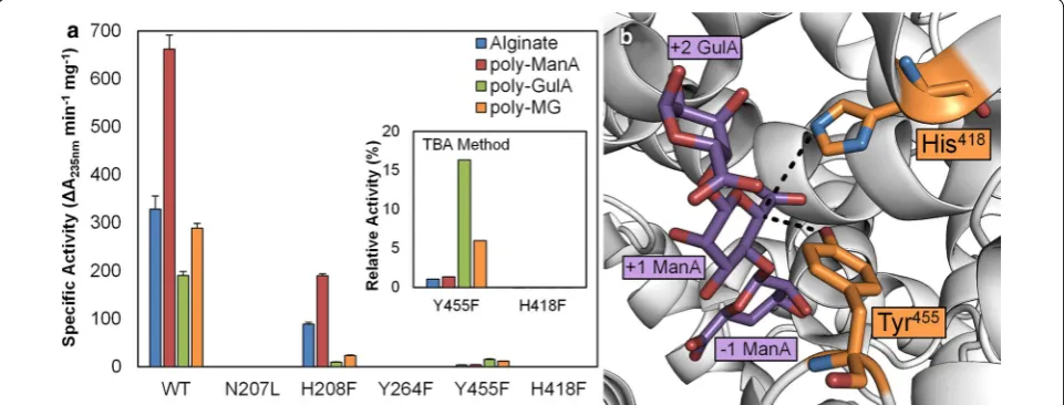 Fig. 3 Mutagenesis of putative catalytic residues. Image generated from crystal structure of Alg17c from purpleand Tyra Specific activity of wild-type Smlt2602 and N207L, H208F, Y264F, H418F, and Y455F mutants against 1 mg/mL alginate-based substrates in 2