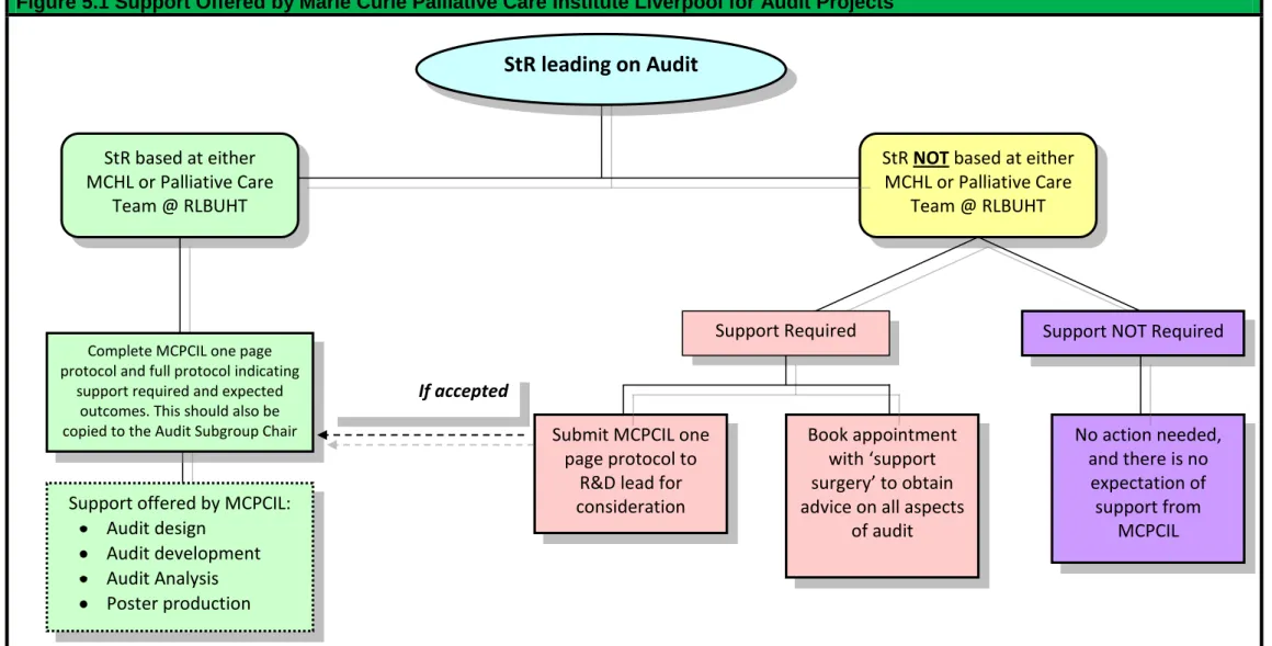 Figure 5.1 Support Offered by Marie Curie Palliative Care Institute Liverpool for Audit Projects   