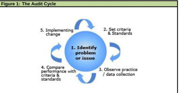 Figure 1:  The Audit Cycle 
