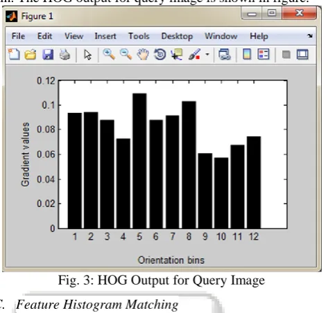Fig. 3: HOG Output for Query Image 