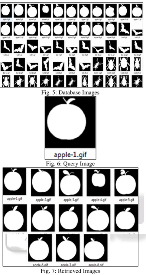 Fig. 5: Database Images 