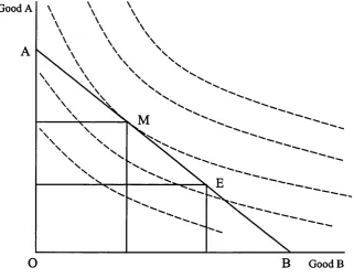 Figure 1.2. Maximisation of utility