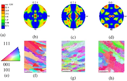 TABLE 4 CELL SIZE ON COARSE AND FINE GRAIN PORTIONS 