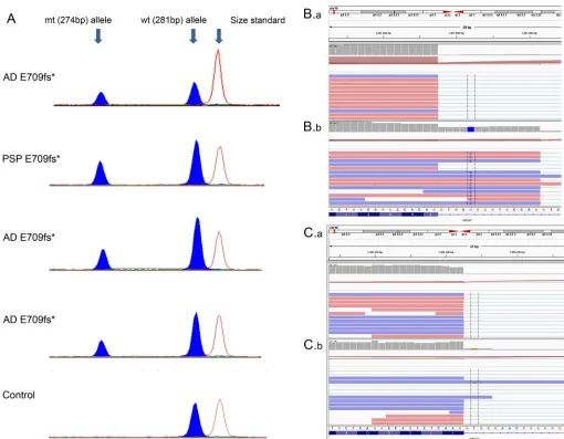 Figure 2Brain ABCA7 messenger RNA expression measurements with semiquantitative PCR or RNA sequencing in select mutation carriers