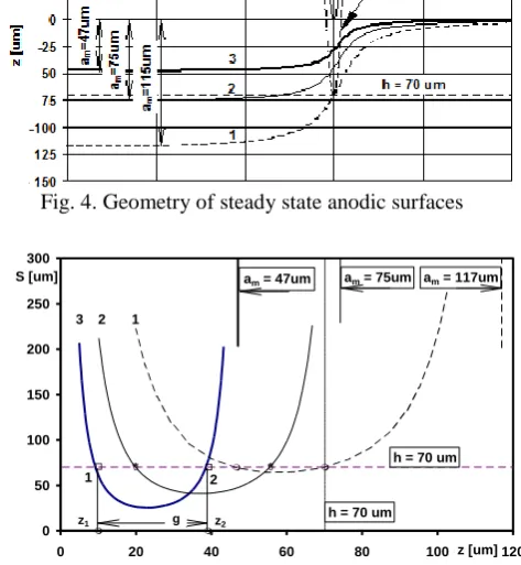 Fig. 4. Geometry of steady state anodic surfaces  