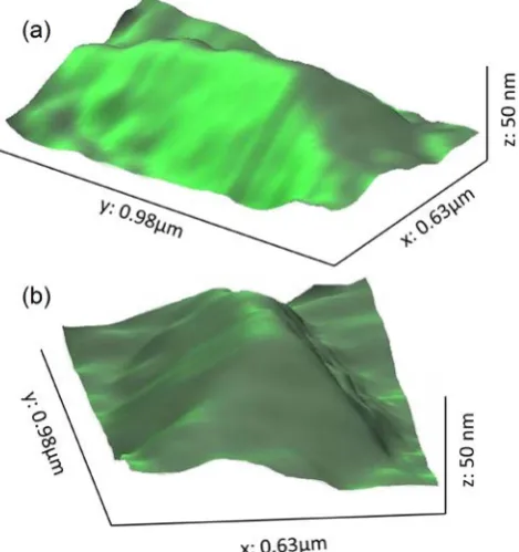 Fig. 3. Example MVP “doubling up” observed by AFM surface mapping.  