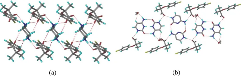 Figure 6.4 (a) N+–H···O– interactions between the piperazinium ion and CLF (b) two point N–H···O synthon between the neutral and ionic cytosine in CLF-CYT hydrate complex