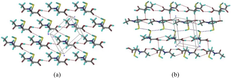 Figure 4 NAC polymorphs (a) 2D network of S−H···O and O−H···O hydrogen bonds in form I