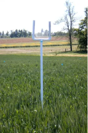 Figure 2.2. Aerial aphid trap designed to catch aphids dispersing in and out of winter  wheat fields
