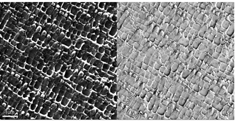 Fig.1 illustrates the microstructure of the Ni-base superalloy RR1000 considered in the present study