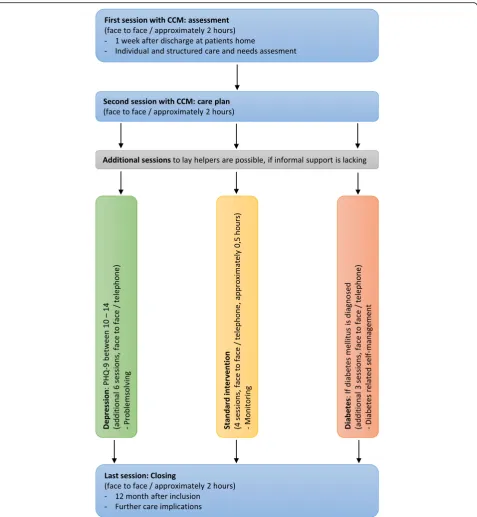 Fig. 2 Sequence of intervention sessions provided by the CCM
