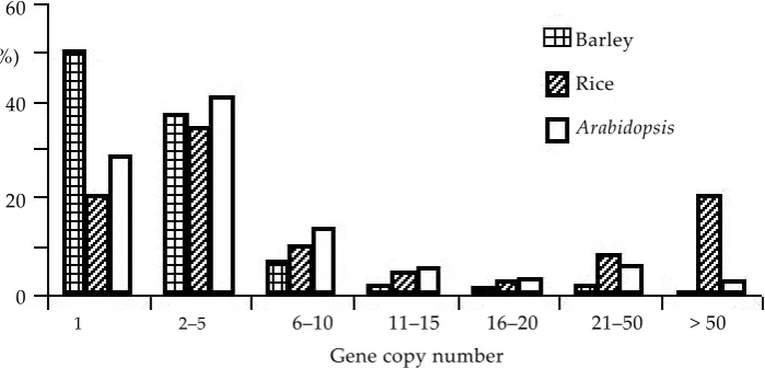 Figure 1. Distribution of the size of gene families. The copy number of each barley unigene was estimated by counting the number of BLASTN matches against the unigene data set itself with an E-value threshold of less than 10–20