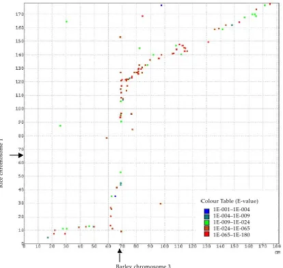 Figure 2. Comparison of the genetic maps of barley chromosome 3 (x������� -axis) and rice chromosome 1 (y-axis) (H�-et al