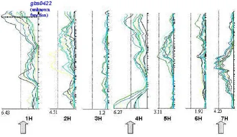 Figure 3. QTL-analysis of the trait “diastatic power” in the Steptoe/Morex progeny. Each LOD curve represents one of 7 environments analysed