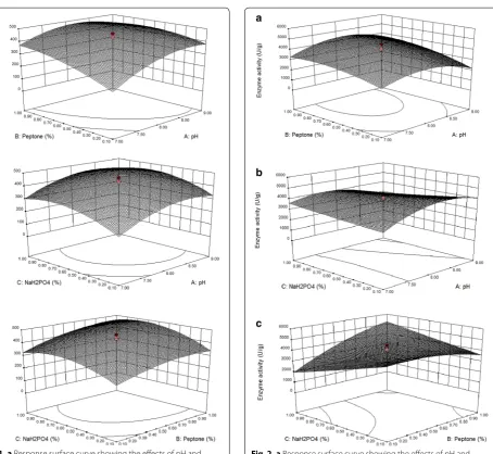 Fig. 2 a Response surface curve showing the effects of pH and peptone on the protease activity of B