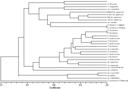 Figure 3. Dendrogram of 31 wheat genotypes (wild accessions, synthetic and cultivated wheats) constructed for 19 qualitative traits using UPGMA clustering based on Dice’s similarity coeﬃcients
