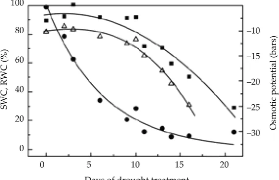 Figure 1. Time course of drought stress