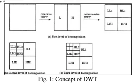 Fig. 1: Concept of DWT 