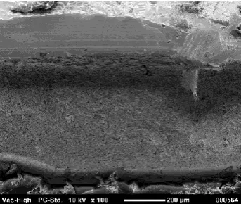 Fig. 7.  Fracture surface of 1812 capacitor after 15 years of simulated field  time.  