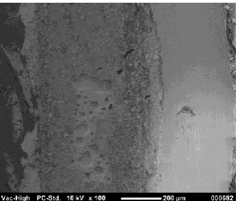 Fig. 9.  Fracture surface of 1812 capacitor after 25 years of simulated field  time.  