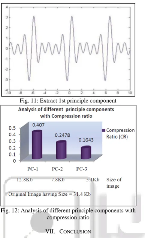 Fig. 11: Extract 1st principle component 