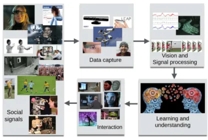 Figure 1. LAIV research activities at a glance