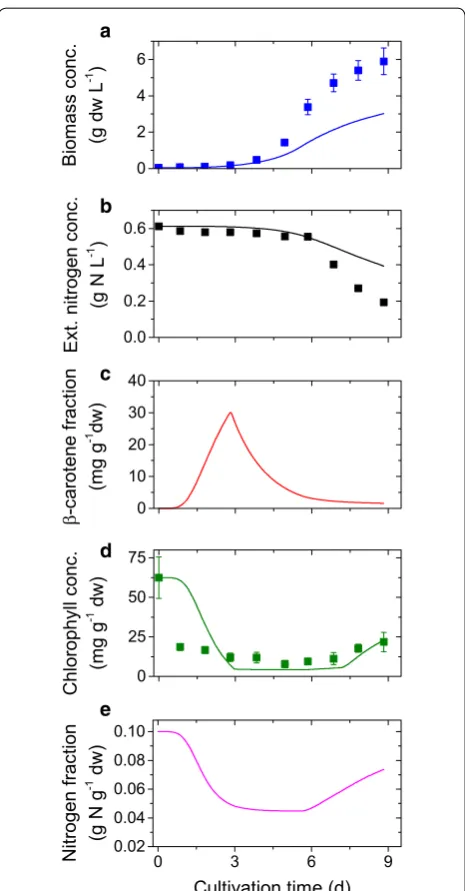 Fig. 4 Comparison of simulation results and validation data: Simula-tion results (lines), experimental data (symbols) and error bars of the validation runs under nitrogen-replete conditions with medium light intensity