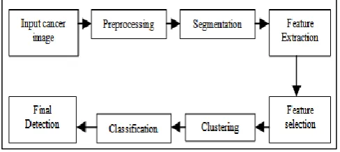 Fig. 1: Frame work of Early Cancer Detection 