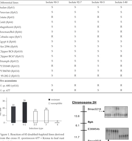 Figure 1. Reaction of 83 doubled-haploid lines derived from the cross H. spontaneum 677 × Krona to leaf rust isolate I-80